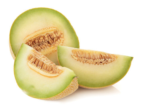 Galia Melon