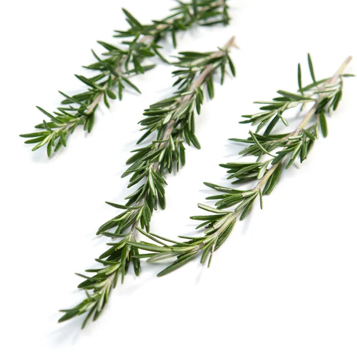 MASFresh Rosemary-1x100g-Food
