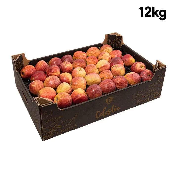 MASRed Apples (Royal Gala Apples)-1x12kg-Food