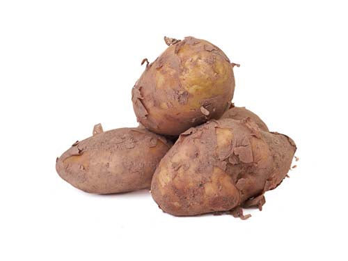 MASJersey Ware Potatoes-Fd