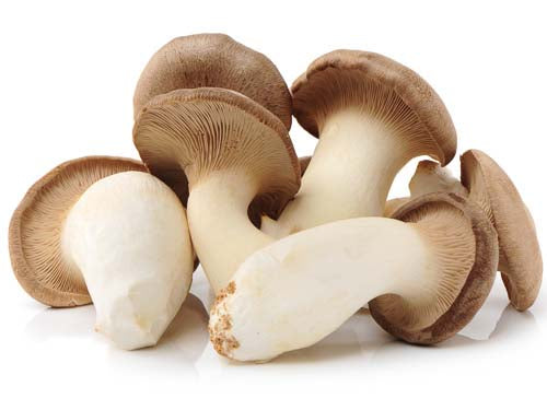 MASKing Oyster Mushrooms-Fd