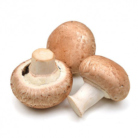 MASChampignon De Paris Mushrooms-Fd