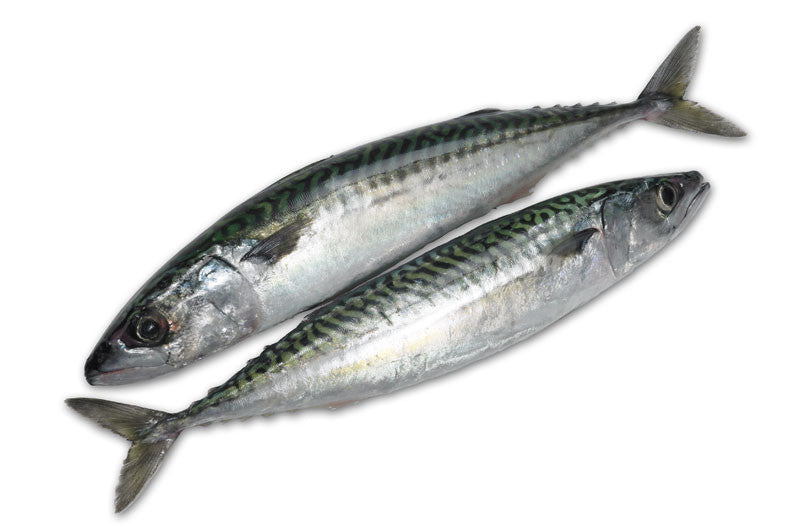 MASFrozen Mackerel Fish 1kg-Fd Fish, Meat & Poultry Asetena Pa 