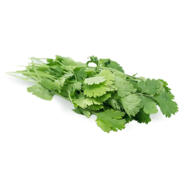 MASFresh Coriander-1x20 Bunches-Food