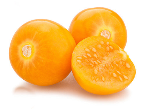Physalis