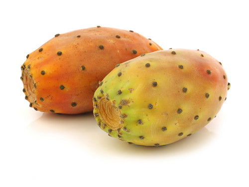 MASPrickly Pear-Fd