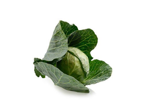 MASPrimo Cabbage-Fd