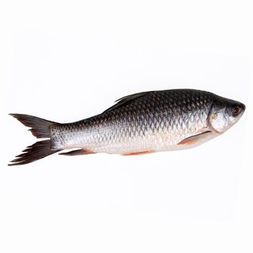 Frozen Whole Rohu (Per kg)