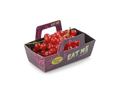 MASRed Currants-Fd