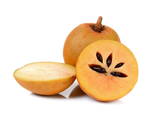 Sapodilla Melon