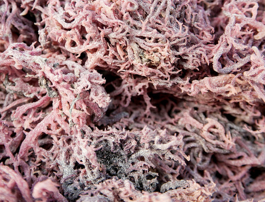 Purple Sea Moss Irish Moss 100% Authentic 1kg