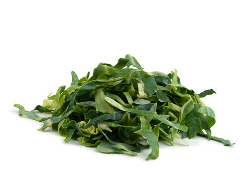 Prepared Shredded  Spring Green Cabbage
