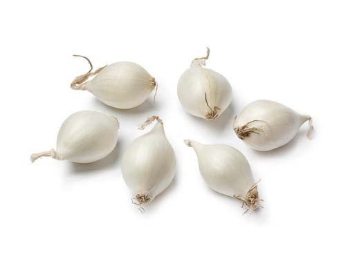 MASSilverskin Onions-Fd