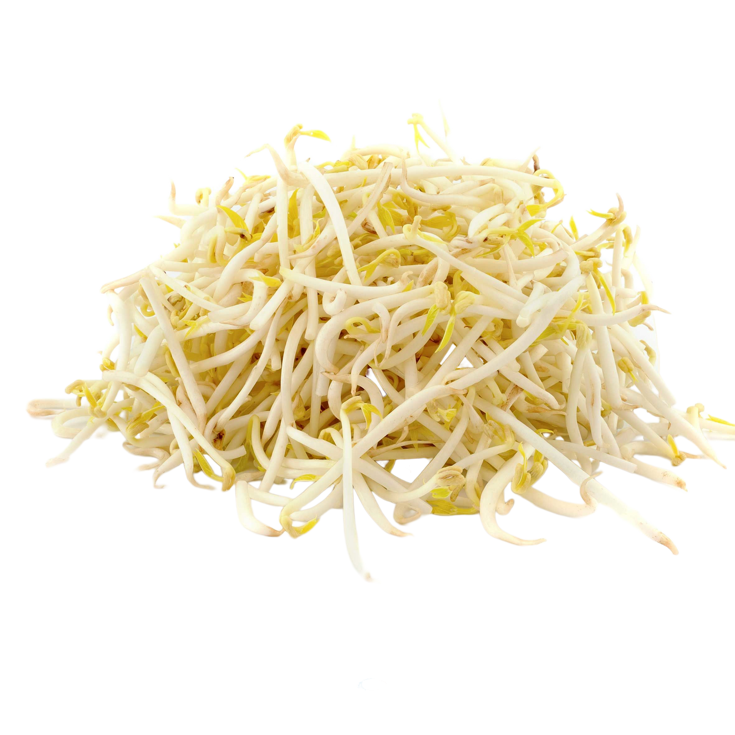 MASFresh Bean Sprouts 1x4kg-Food