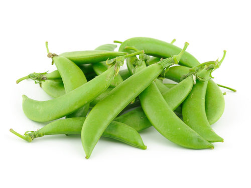 MASSugar Snap-Fd