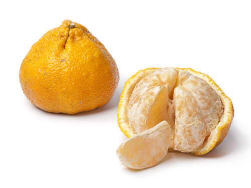 Ugli Fruit (tangelo)