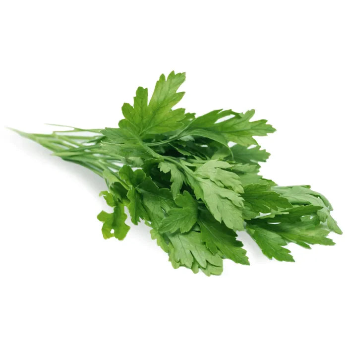 MASFresh Flat Leaf Parsley-1x20 Bunches-Food