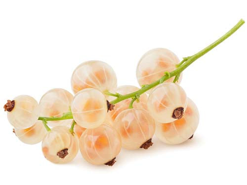White Currants