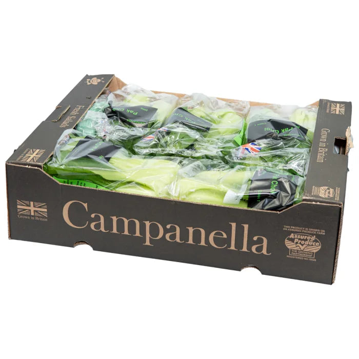 MASFresh Pak Choi-1x10-Food