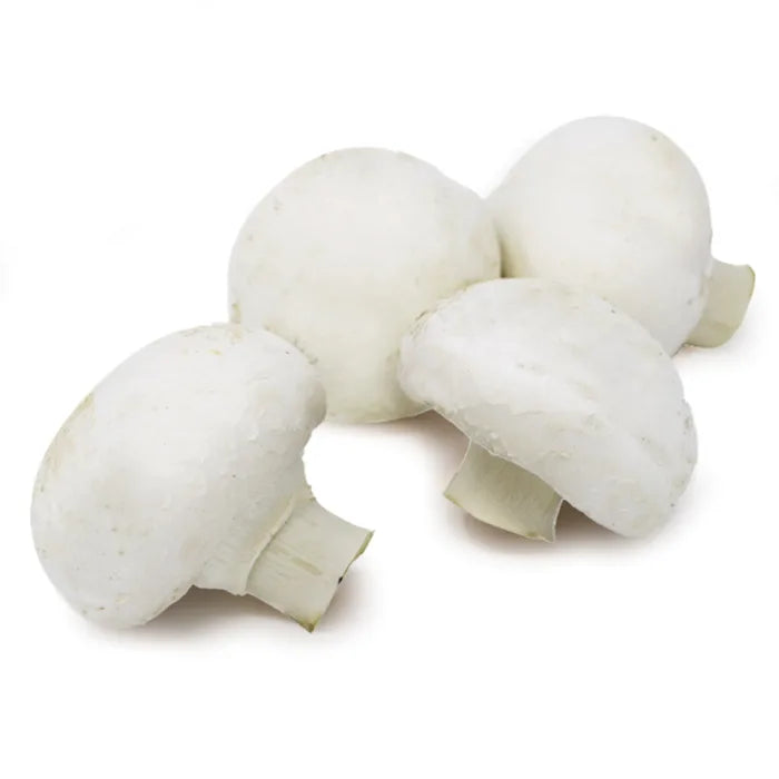 MASCup Mushrooms-1x2.5kg-Food