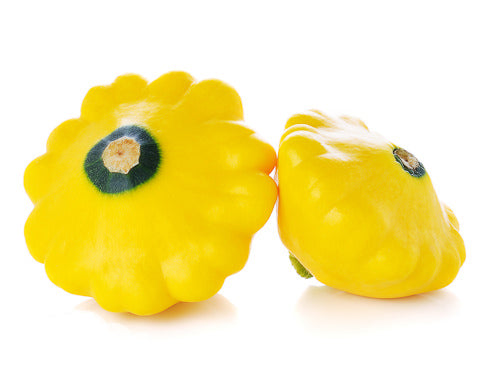 Yellow Patty Pan Squash-Fd