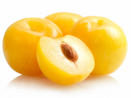Yellow Plum-Fd