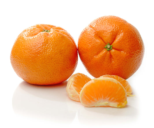 Queen Satsuma